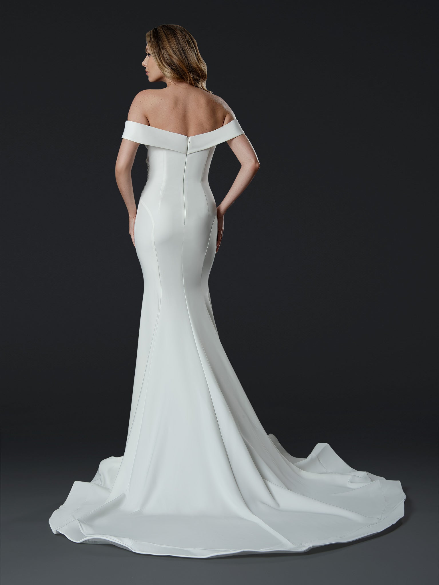 Elowen Sculpted Drape Gown - 24855