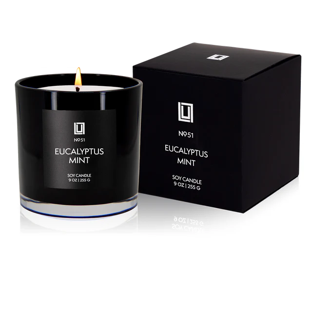 Eucalyptus Mint Soy Candle
