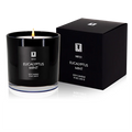 Eucalyptus Mint Soy Candle