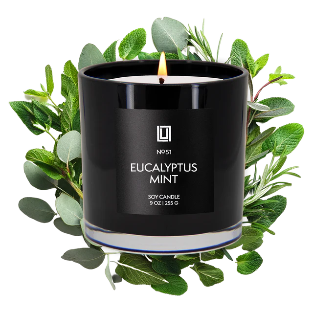 Eucalyptus Mint Soy Candle